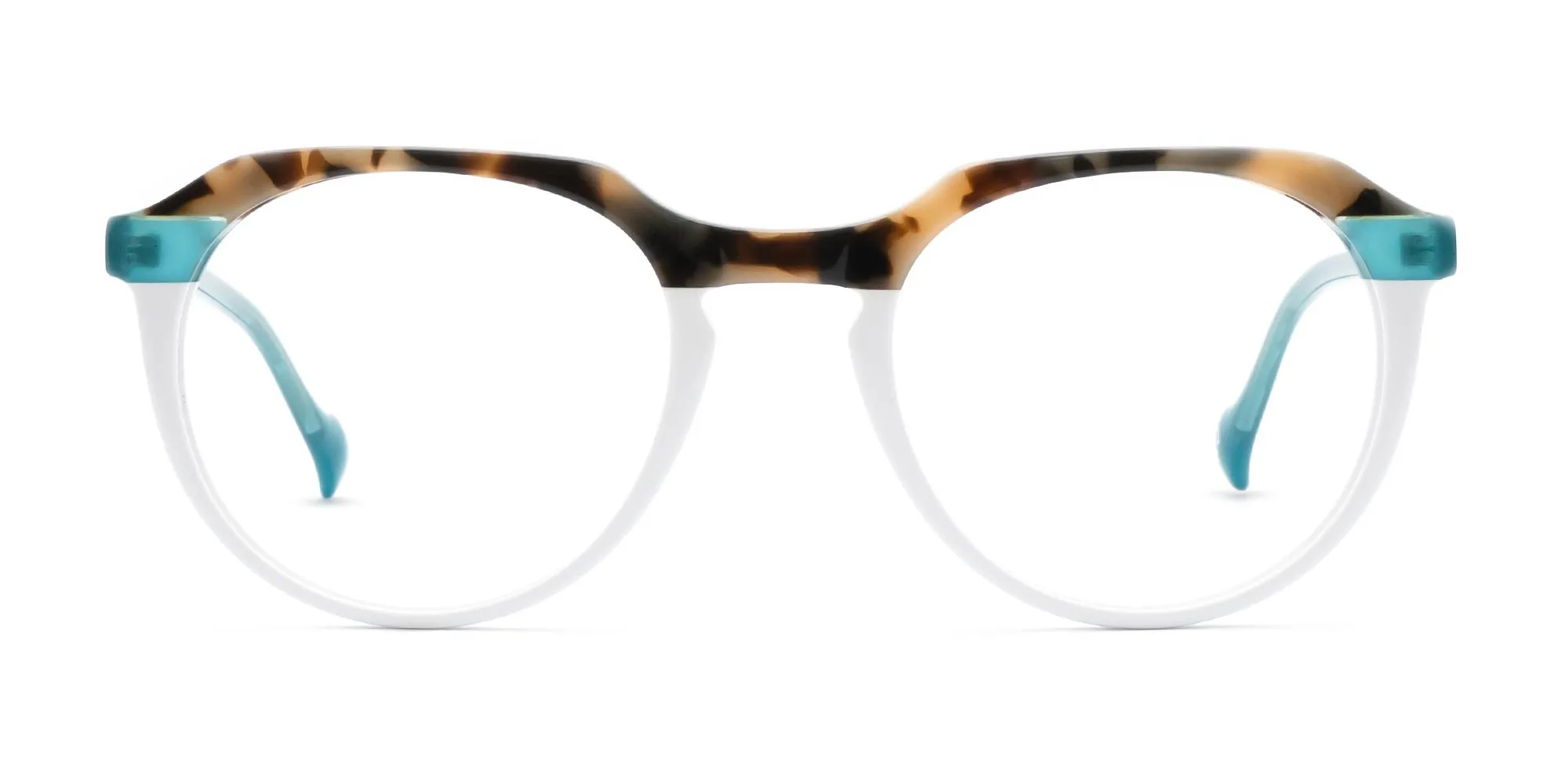 Multi Coloured Glasses Frames-2