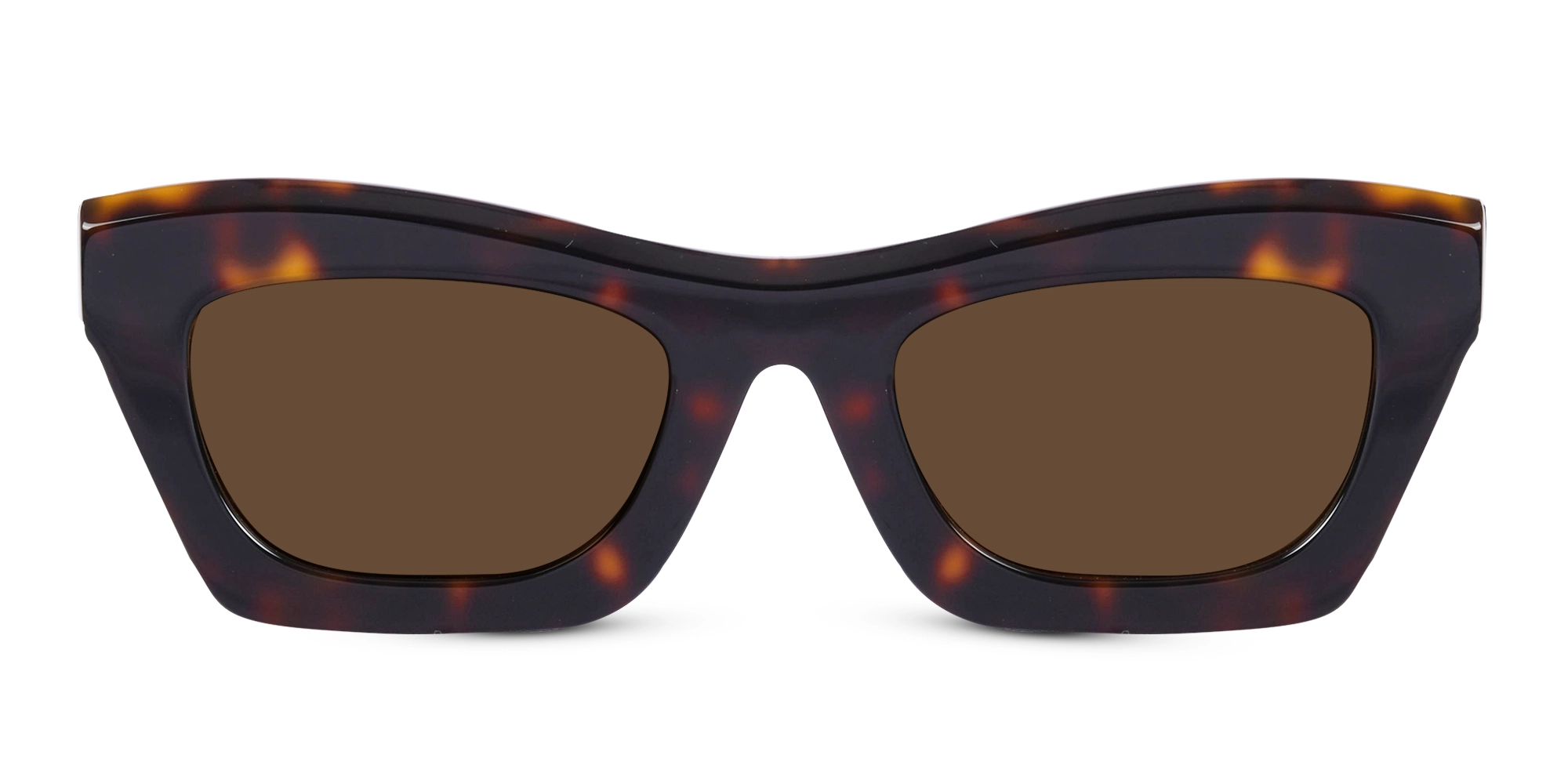 Polarized Cat Eye Sunglasses-1