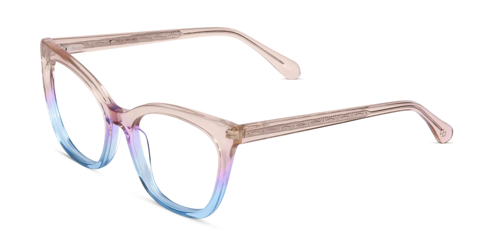 Dual Tone Frames For Men & Women-1