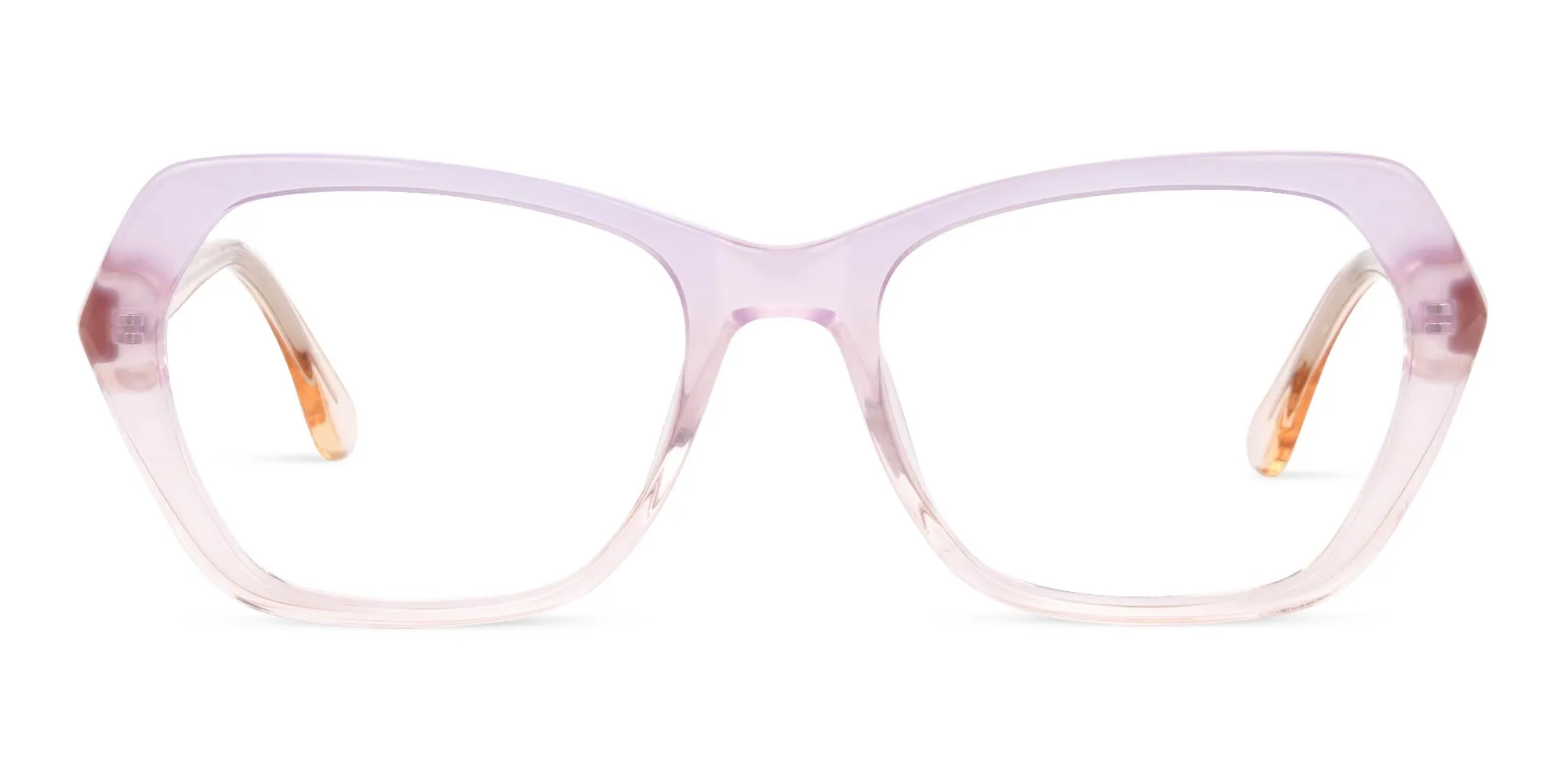 Crystal Purple and Nude Cat Eye Glasses