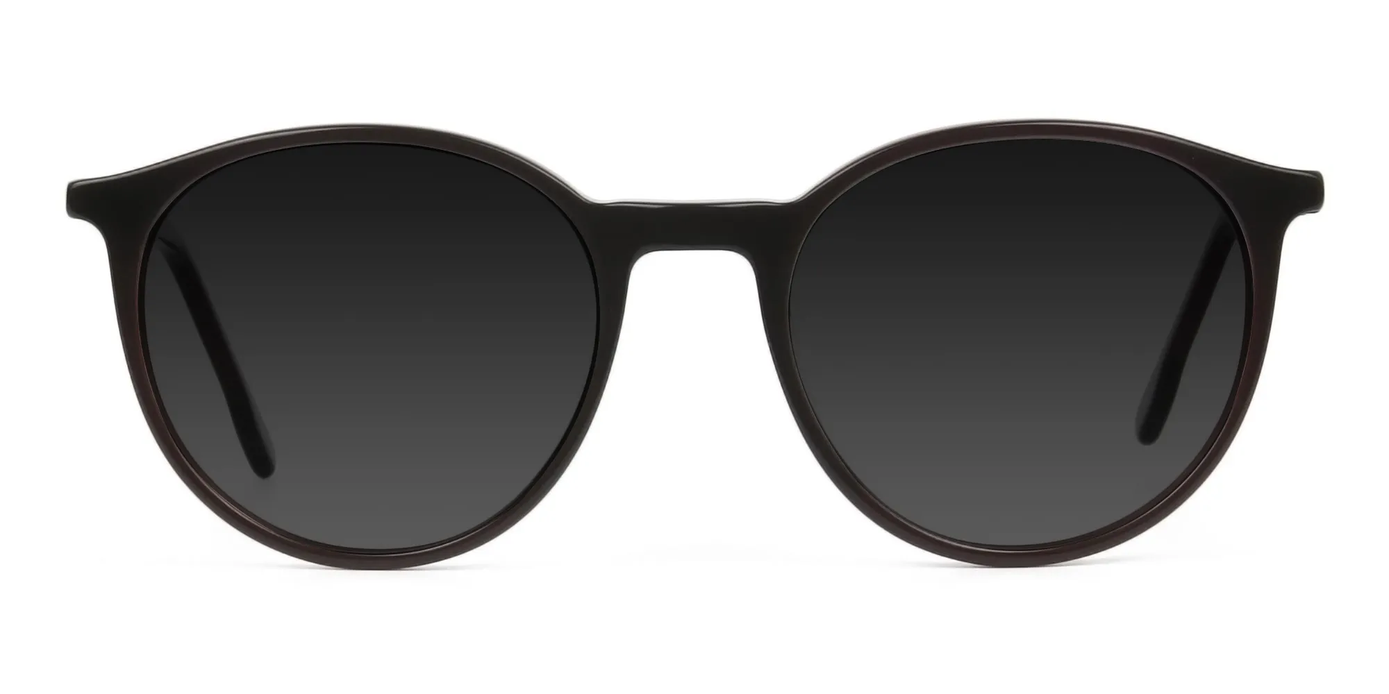 Dark-grey-tinted-dark-brown-sunglasses - 2