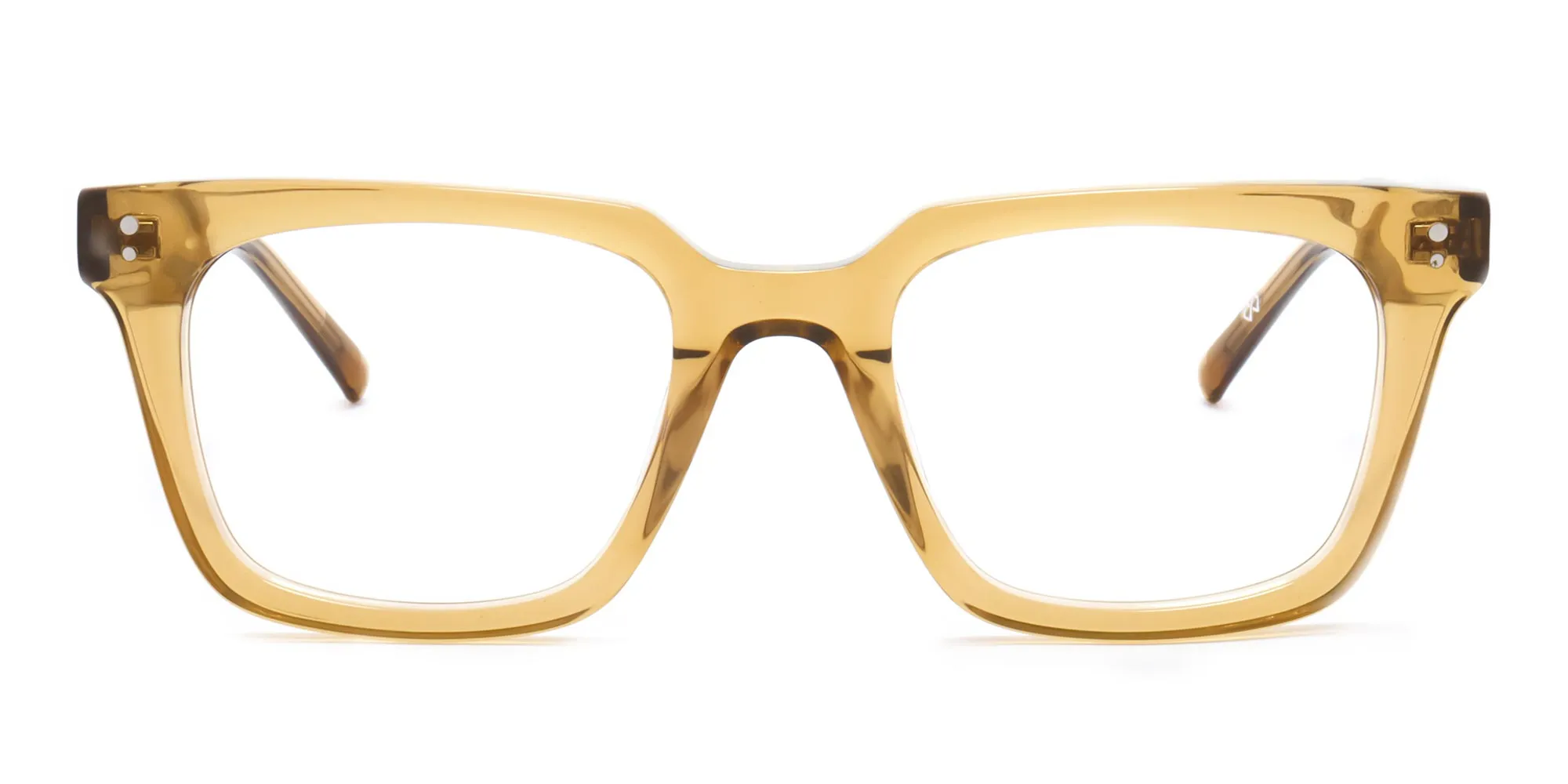 brown square eyeglasses-2