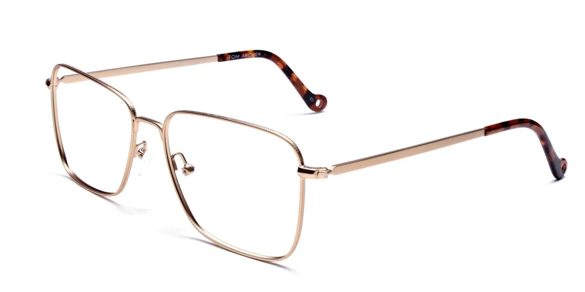 Retro Glasses Frame in Gold Metal with Tortoise Temple Tips, Eyeglasses 