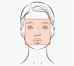Square Face Shape Icon - Icon showing square face shape with strong jawline and broad forehead