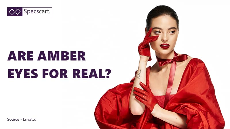 How Rare Are Amber Eyes? Facts, Genetics and More undefined