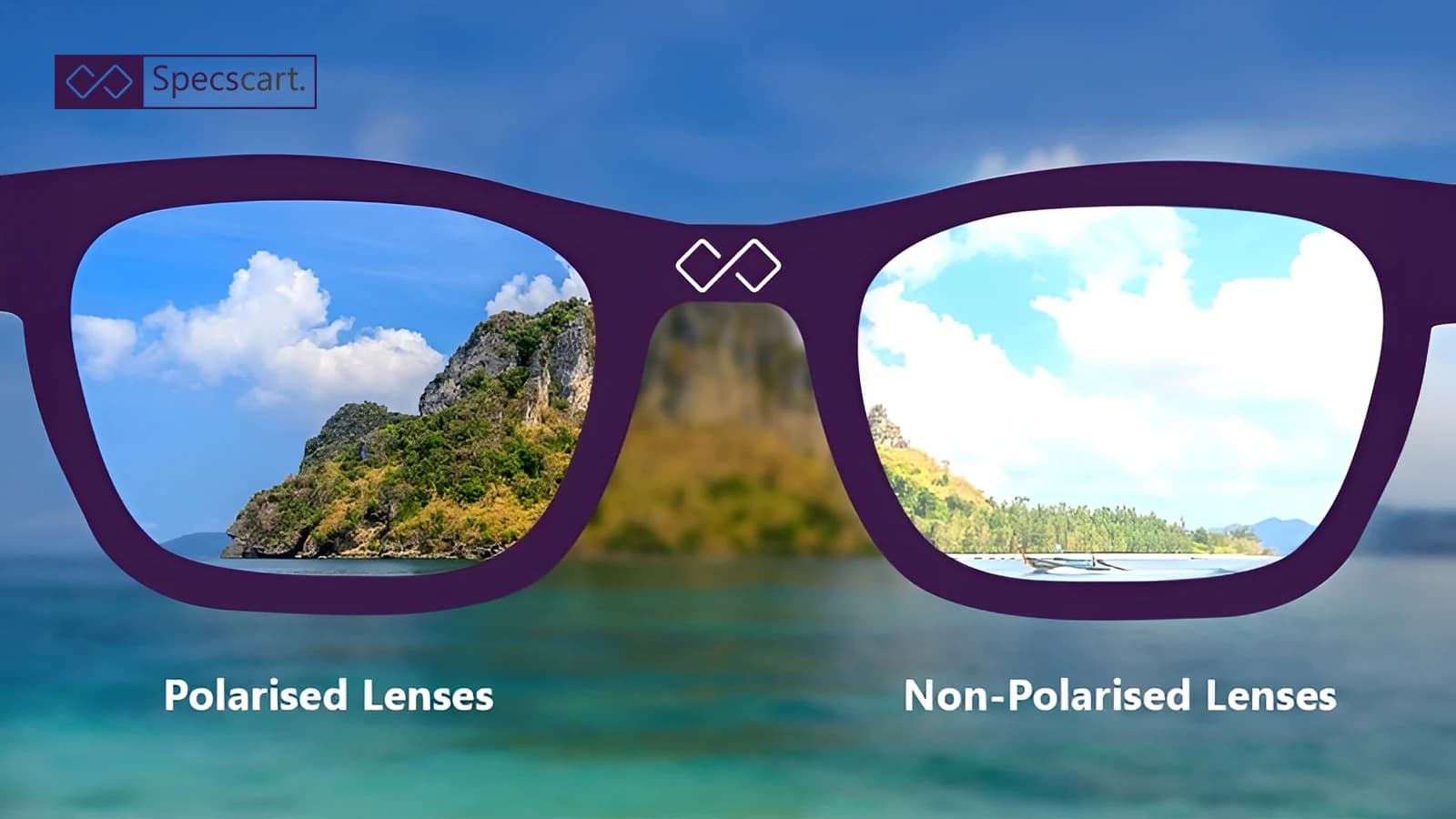 Polarised Vs. Non-Polarised Lenses Polarised Vs. Non-Polarised Lenses