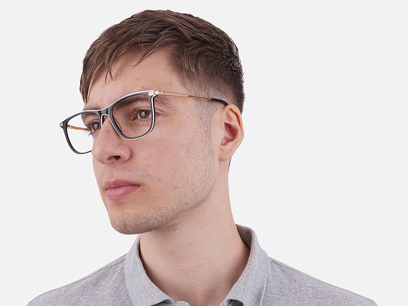 Black & White with Gold Arm Frames