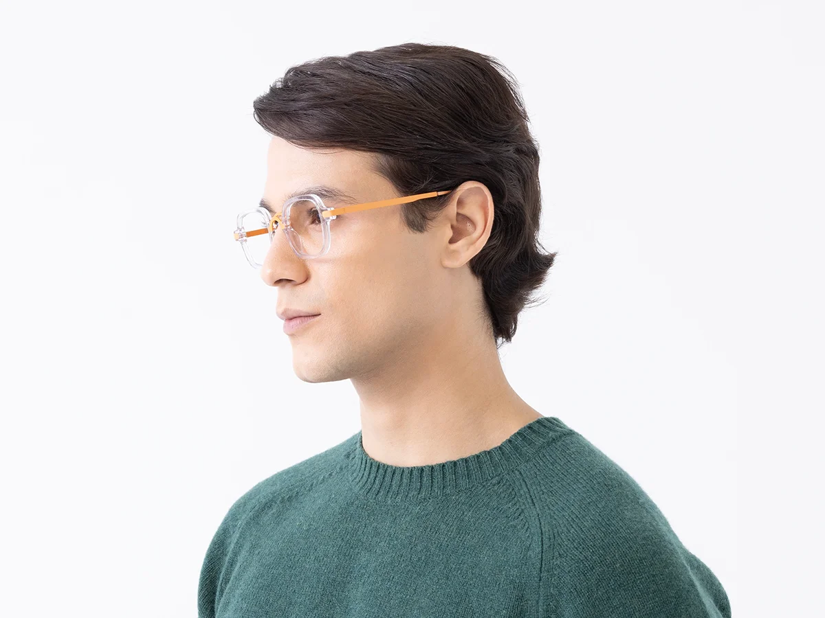 Crystal Clear Mixed Material Glasses Frames 1