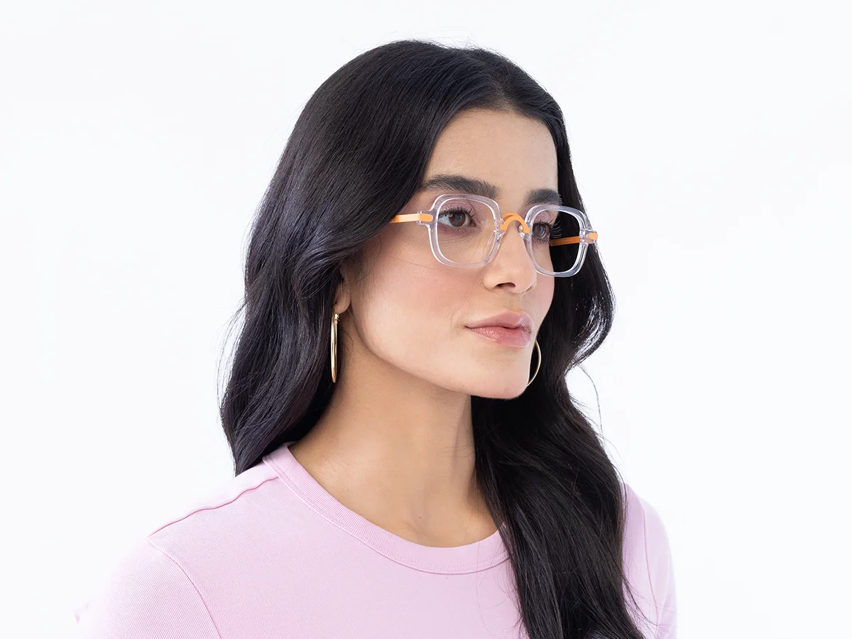 Crystal Clear Mixed Material Glasses Frames 1