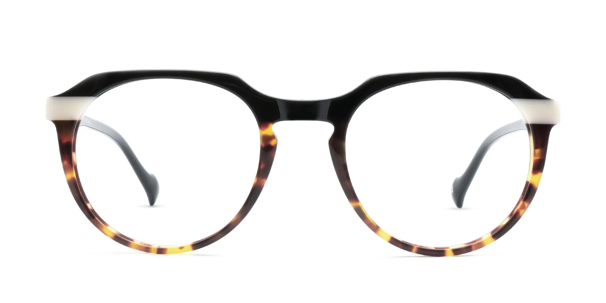 Black & Tortoise Glasses-2