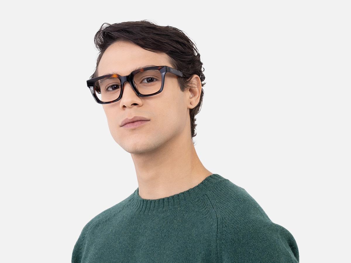 Dark Tortoiseshell Glasses-1