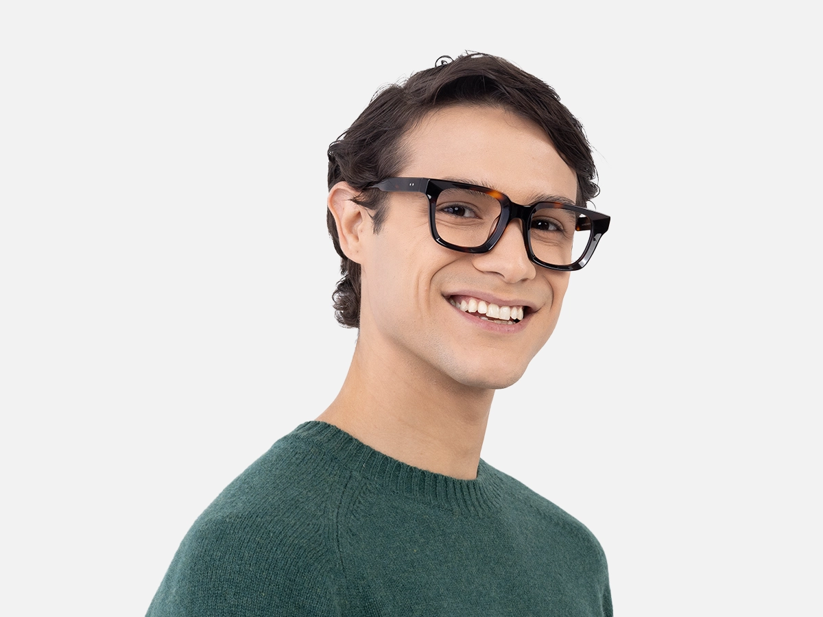 Dark Tortoiseshell Glasses-1