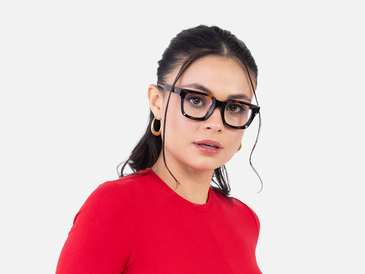 Dark Tortoiseshell Glasses-1