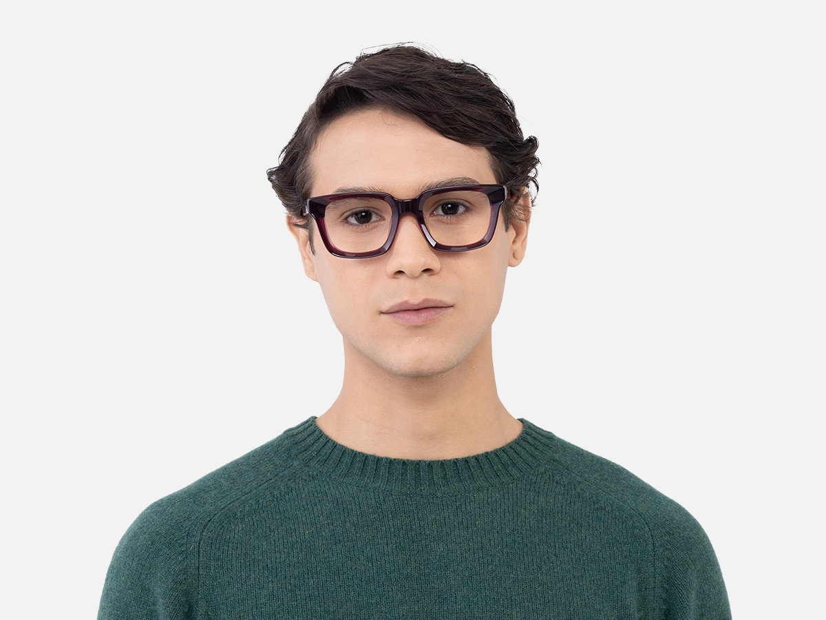 Crystal Plum Glasses-1