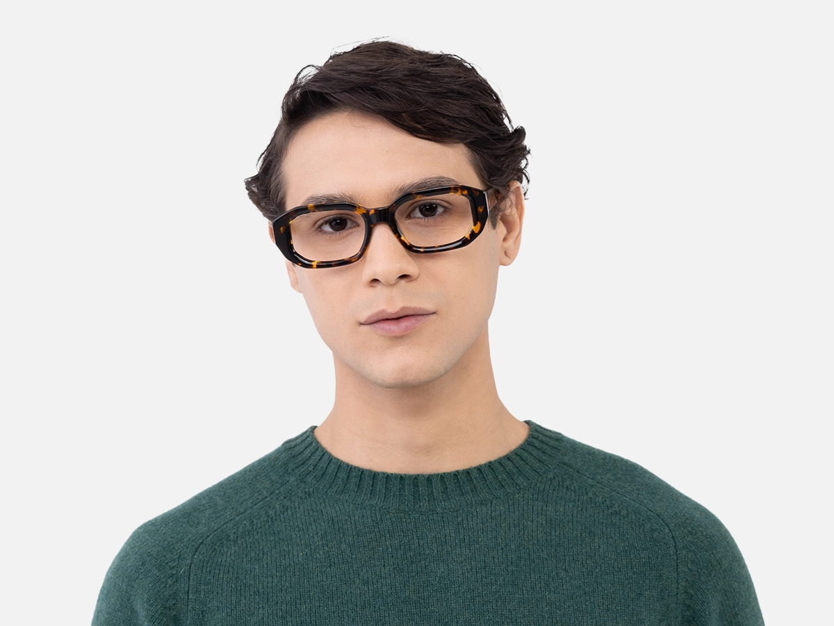 Havana Tortoise Glasses-1
