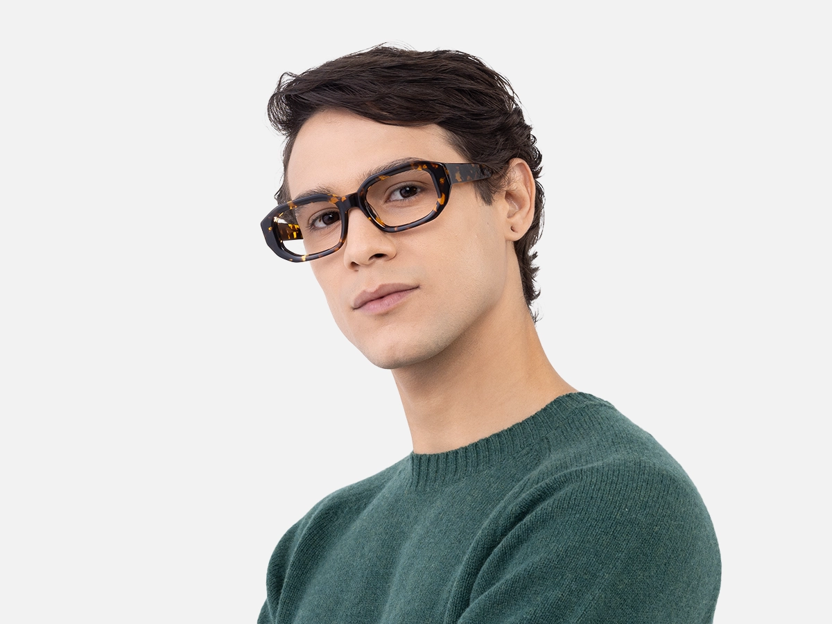Havana Tortoise Glasses-1
