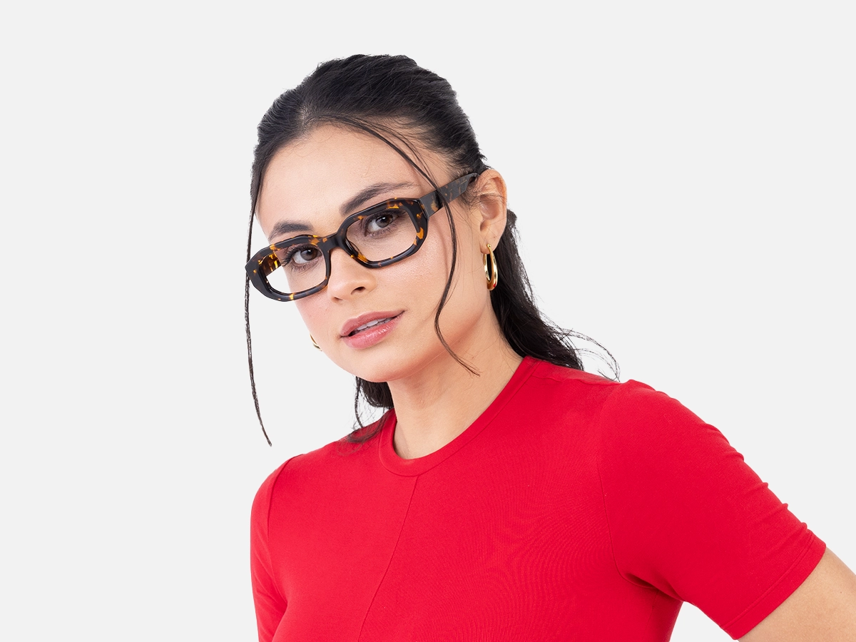 Havana Tortoise Glasses-1