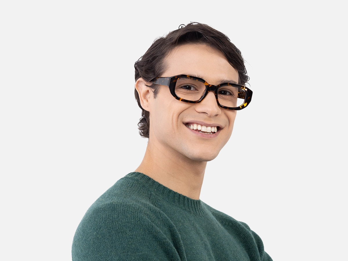 Havana Tortoise Glasses-1