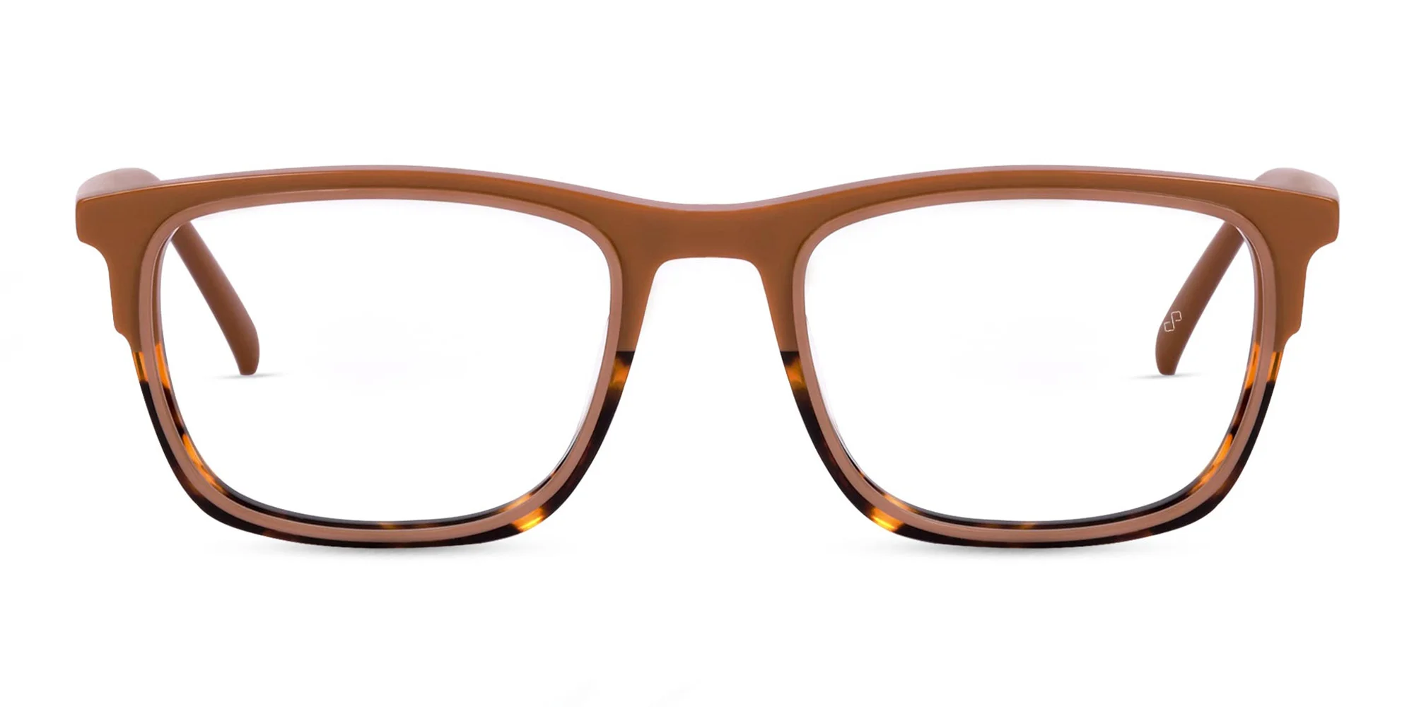 Brown Tortoise Glasses-1