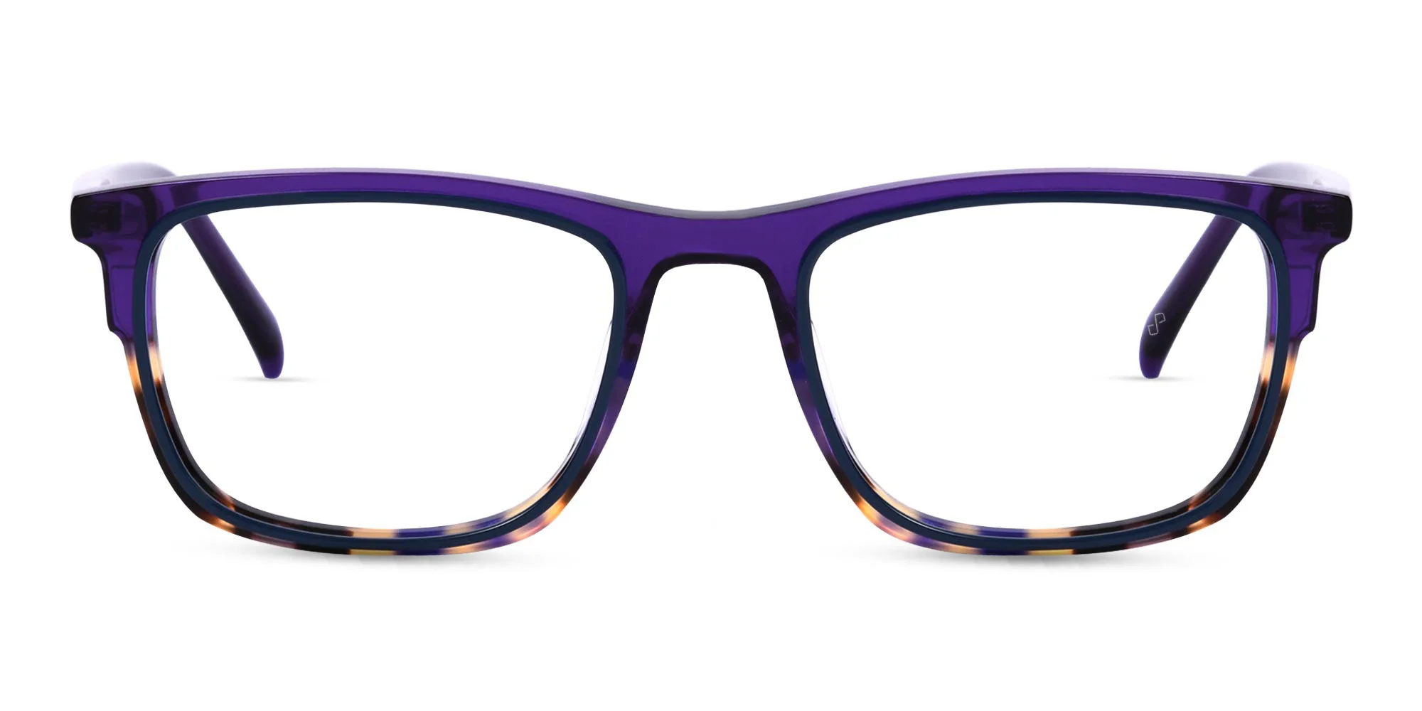 Purple Tortoise Shell Glasses-1