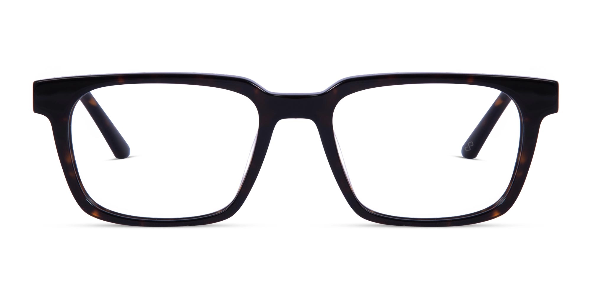 Dark Tortoiseshell Glasses-1