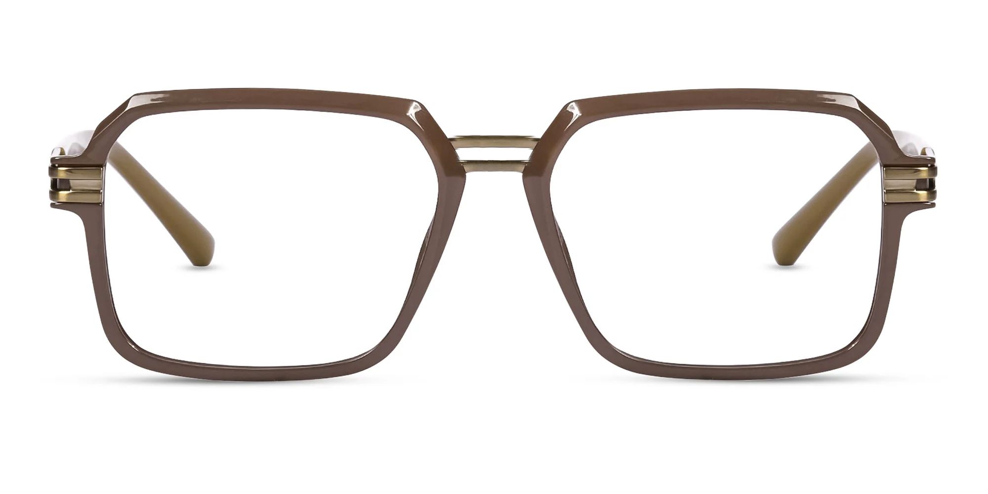 Brown Frame Eyeglasses-1