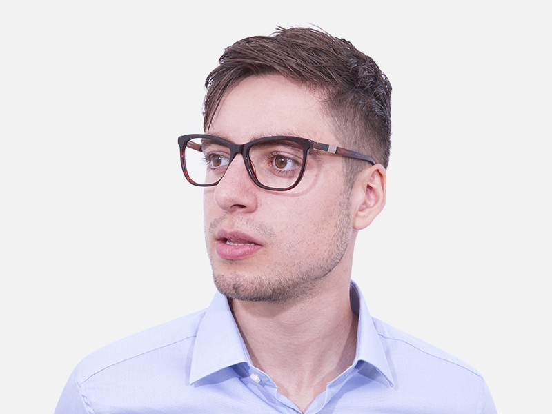 Tortoiseshell & Havana Oversized Glasses 