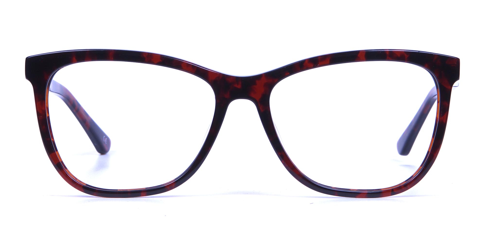 Tortoiseshell & Havana Oversized Glasses 