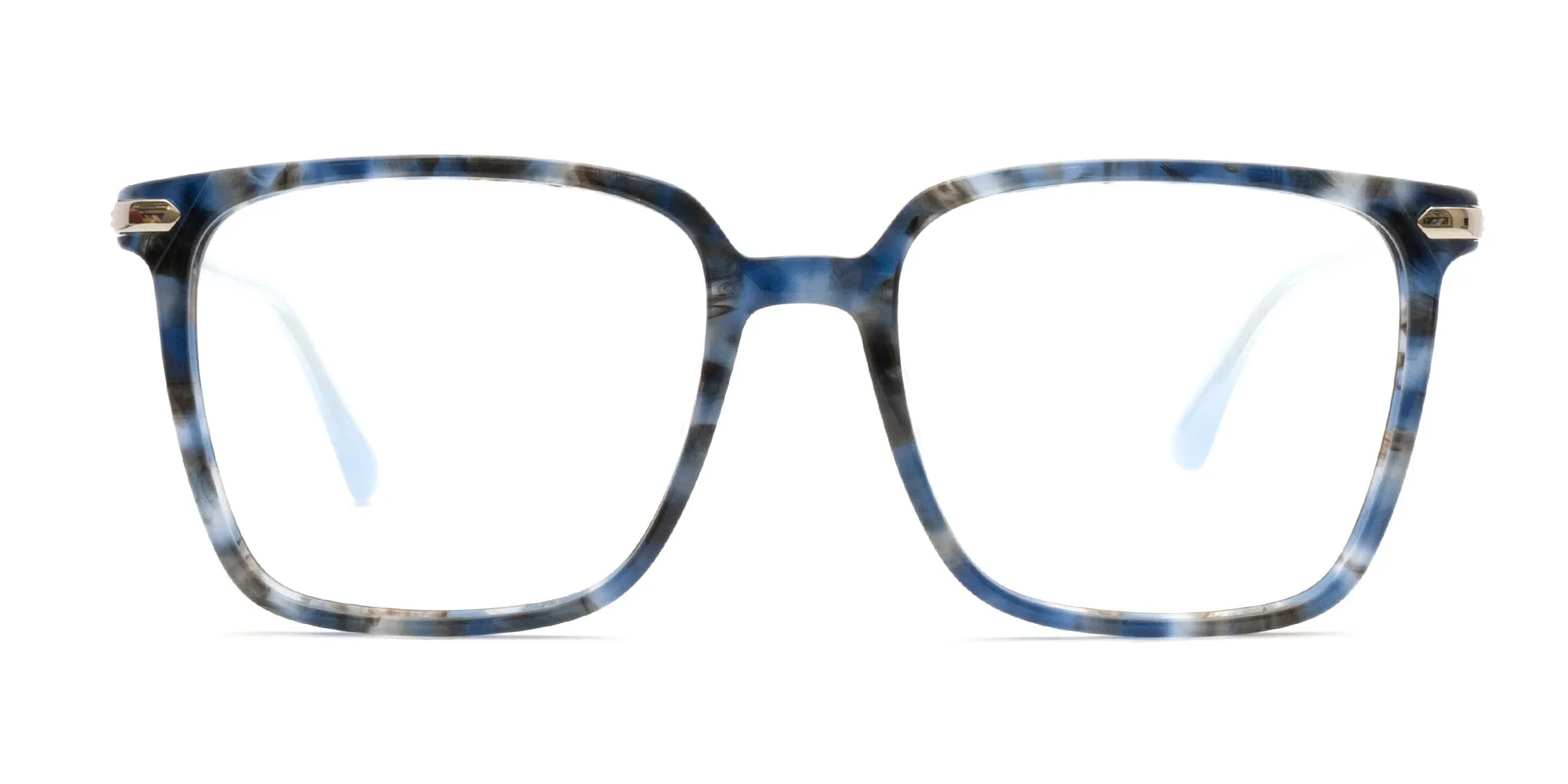 Blue Tortoise Full Rim Square Glasses-2