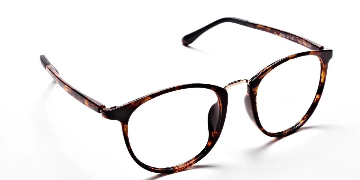 Havana & Tortoise Transparent Glasses -1