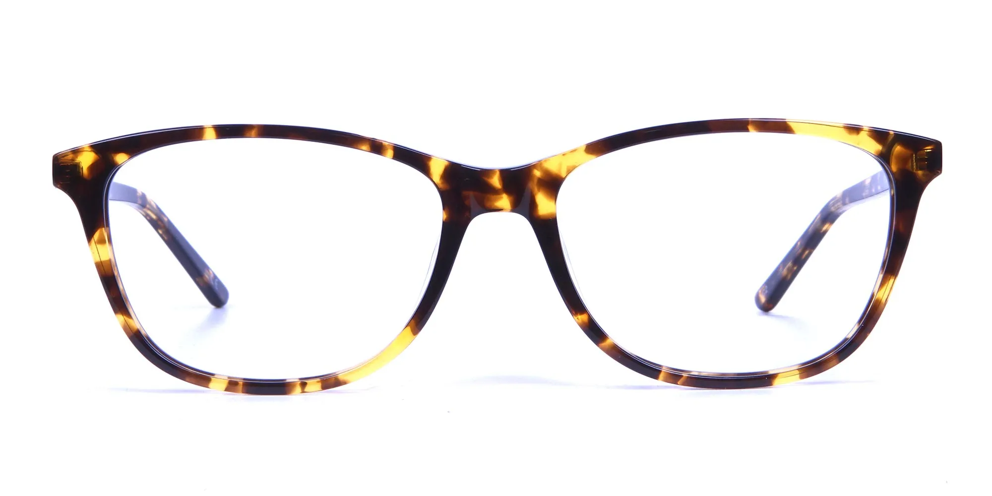 Warm-toned Glasses in Tortoiseshell - 1