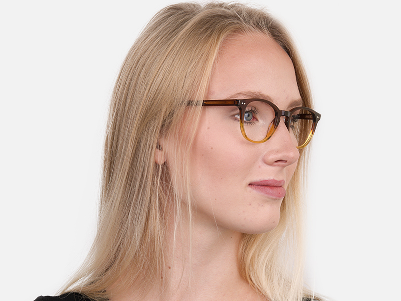 Crystal Brown & Honey Havana Two-Tone Glasses-1