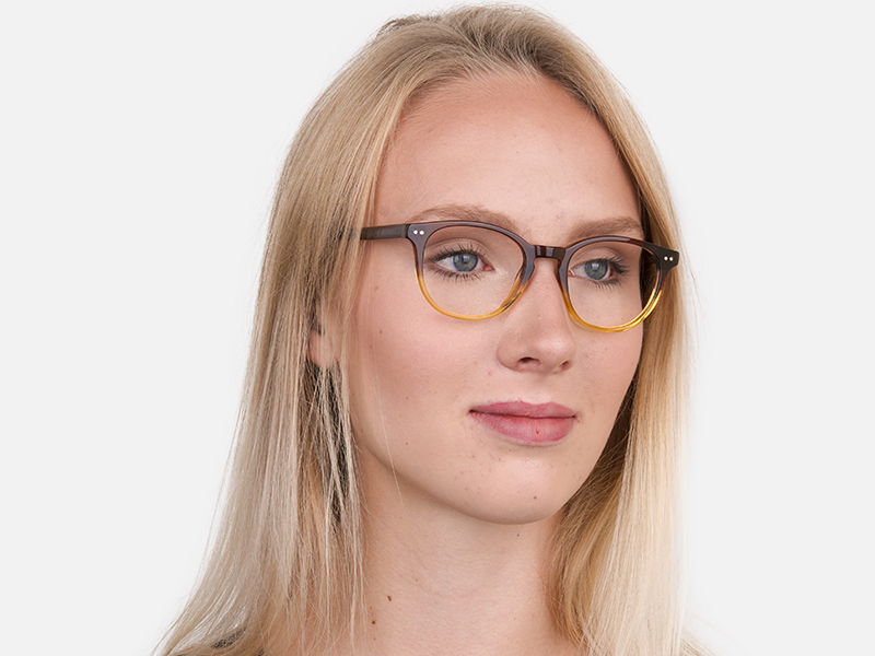 Crystal Brown & Honey Havana Two-Tone Glasses-1