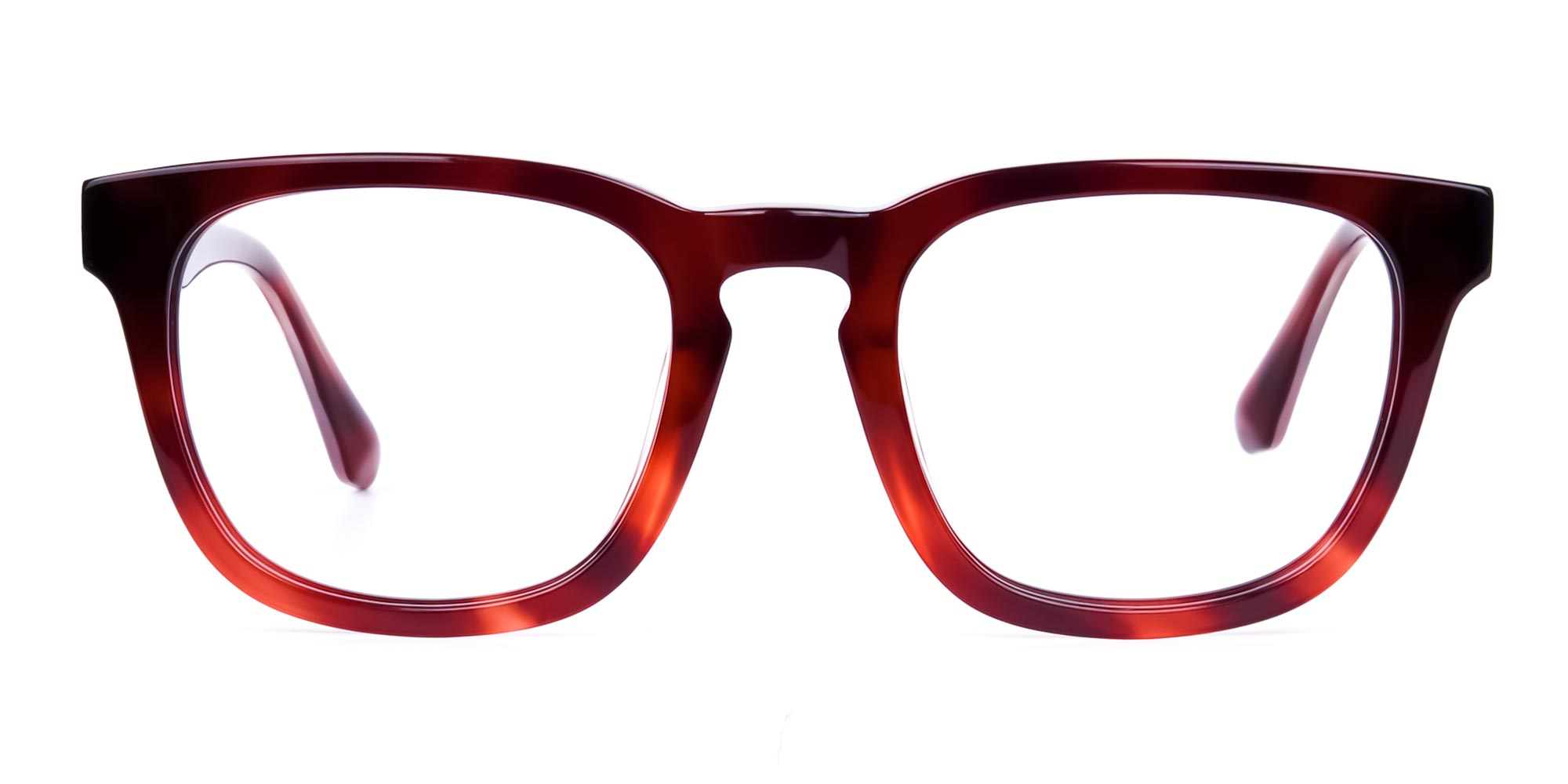 Wayfarer Tortoise Shell Glasses-1