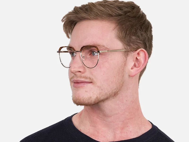 Brown, Honey Tortoise & Silver Browline Glasses-2