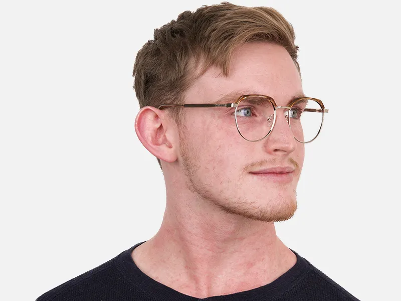 Brown, Honey Tortoise & Silver Browline Glasses-2