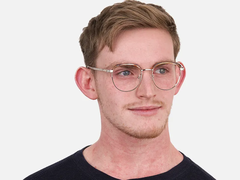 Brown, Honey Tortoise & Silver Browline Glasses-2