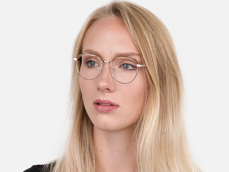 Brown, Honey Tortoise & Silver Browline Glasses-2