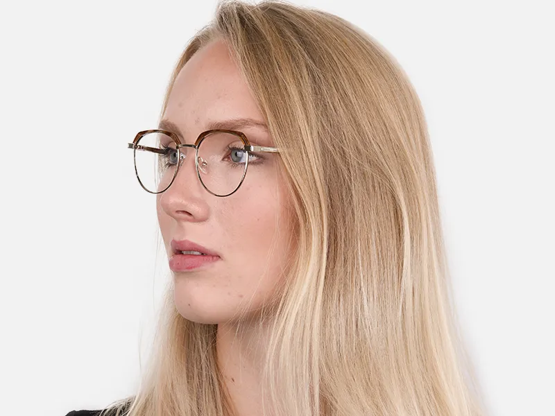 Brown, Honey Tortoise & Silver Browline Glasses-2