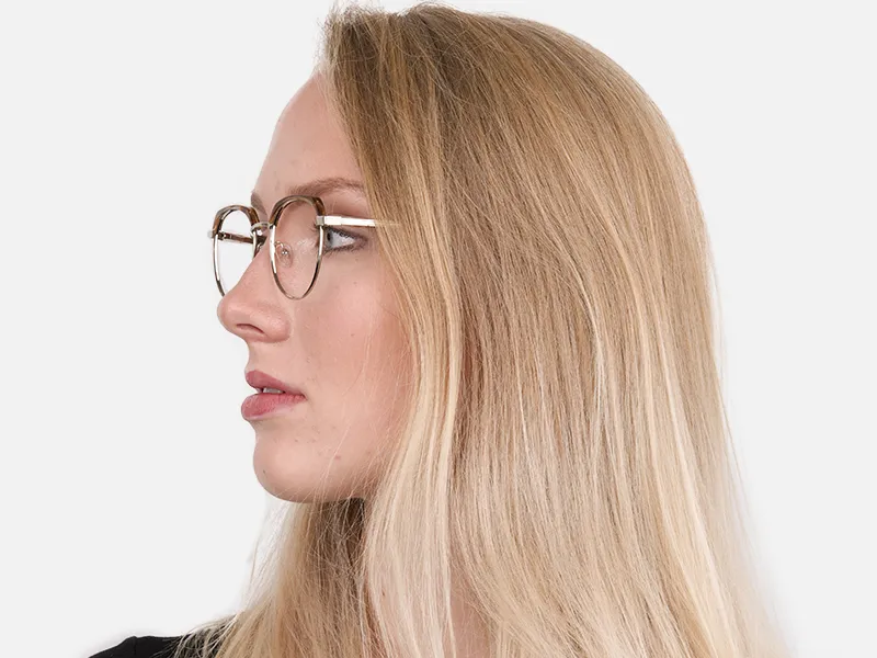 Brown, Honey Tortoise & Silver Browline Glasses-2