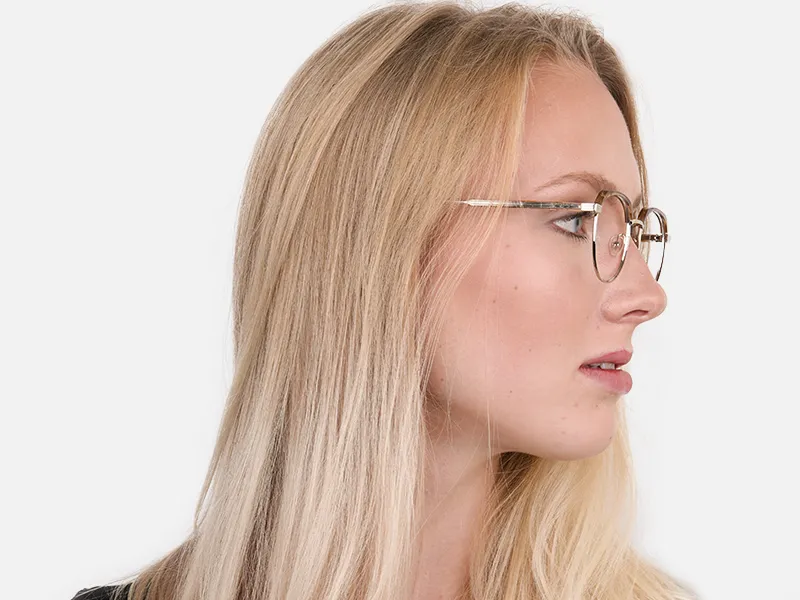 Brown, Honey Tortoise & Silver Browline Glasses-2