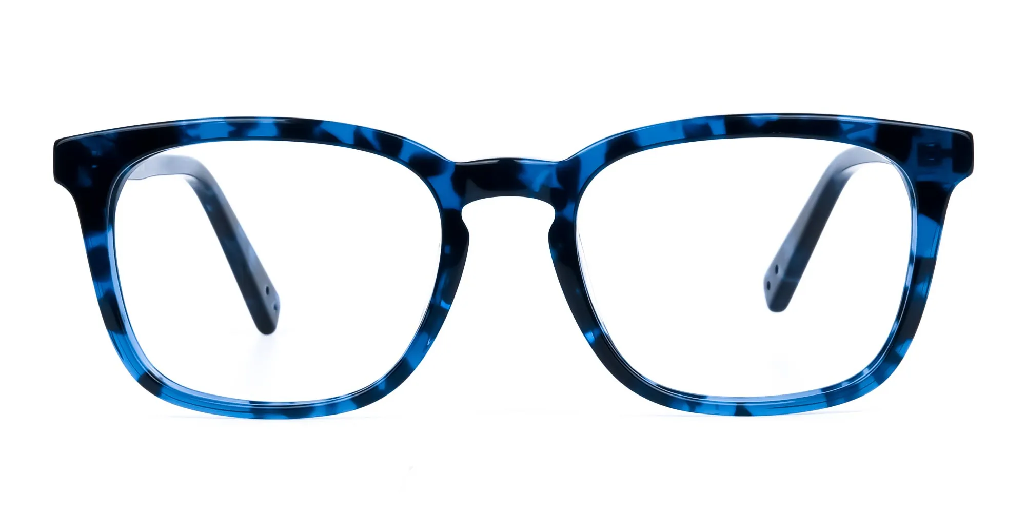 Blue-Tortoise-Wayfarer-Glasses-3