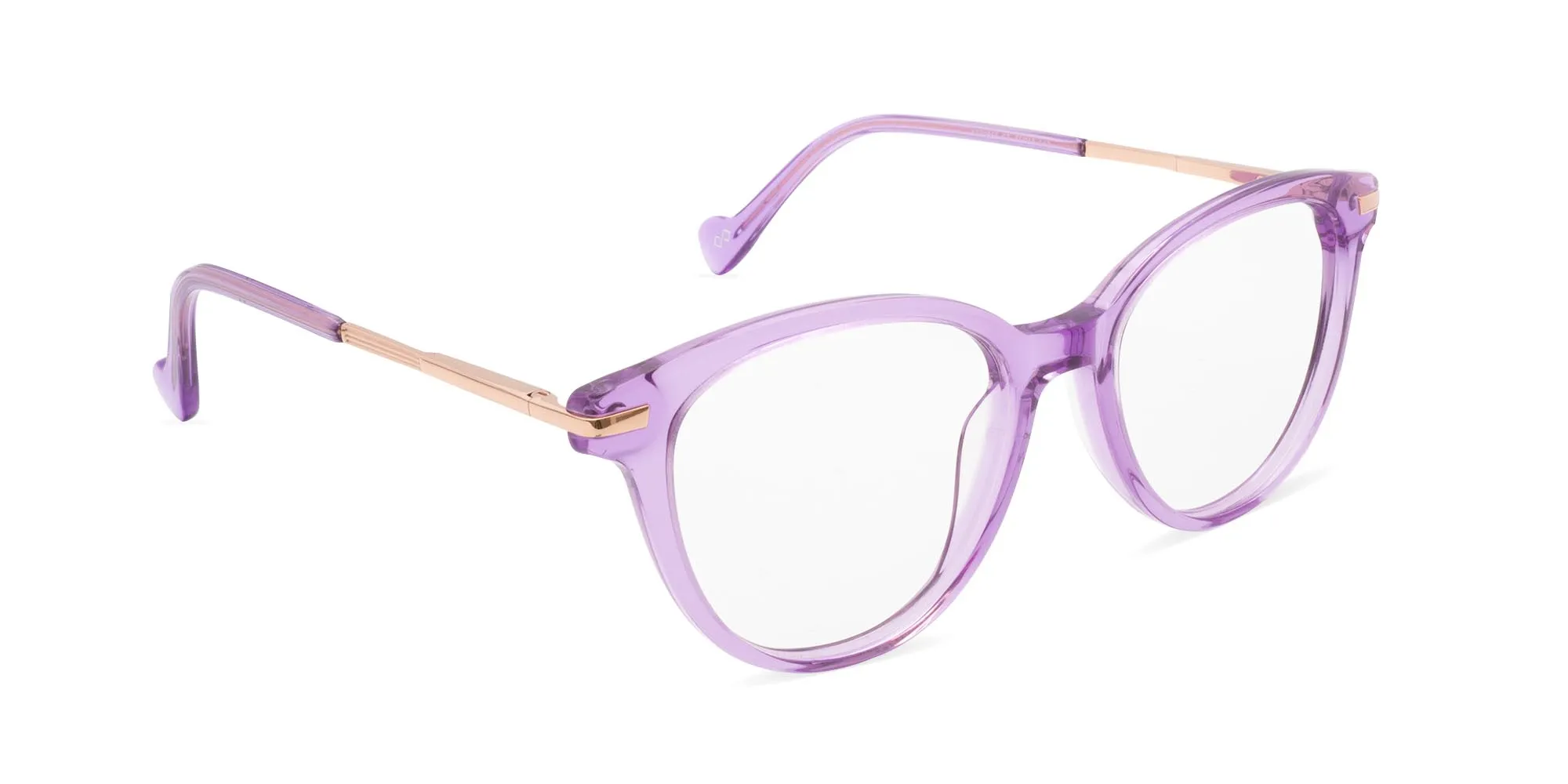 Purple Glasses Frames-2