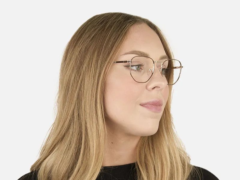 Lightweight Gold and Brown Geometric Glasses - 2