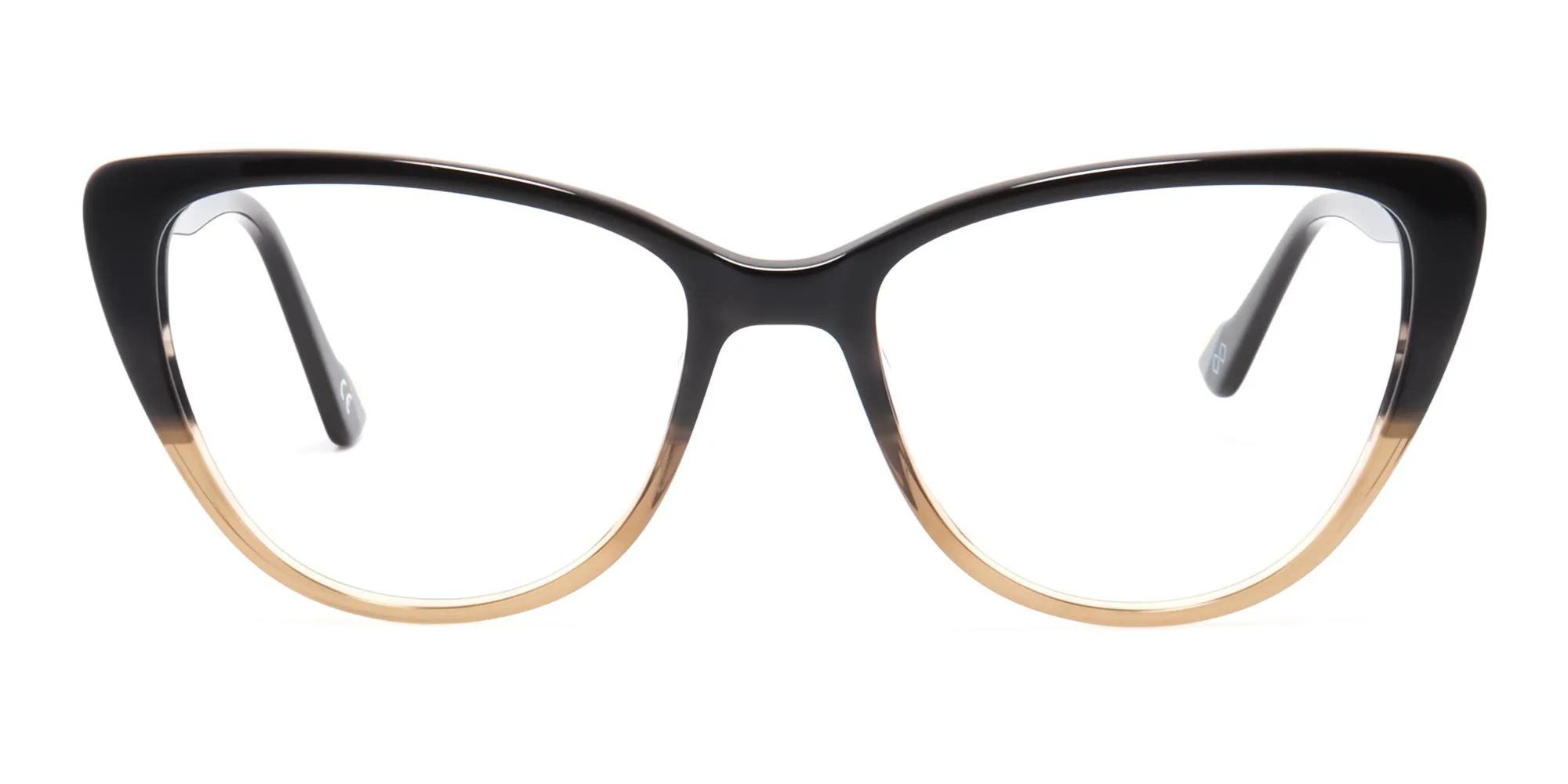 dual tone spectacles-2