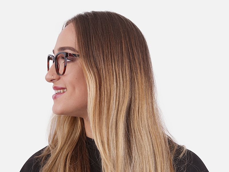 Tortoiseshell & Havana Oversized Glasses 