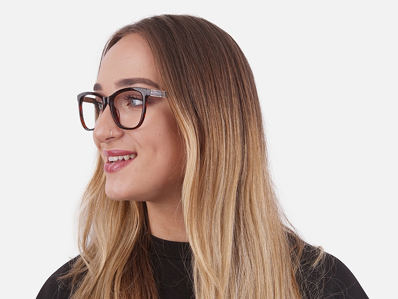 Tortoiseshell & Havana Oversized Glasses 