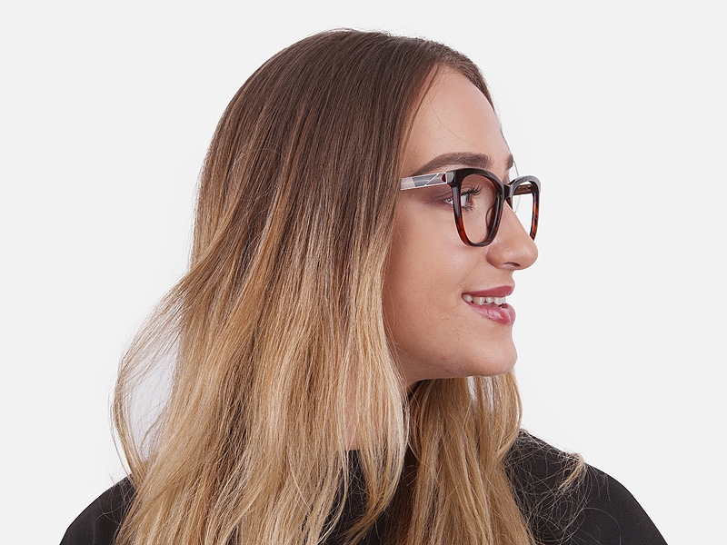 Tortoiseshell & Havana Oversized Glasses 