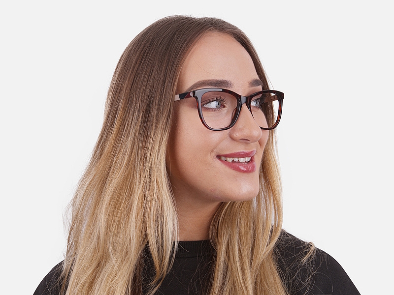 Tortoiseshell & Havana Oversized Glasses 