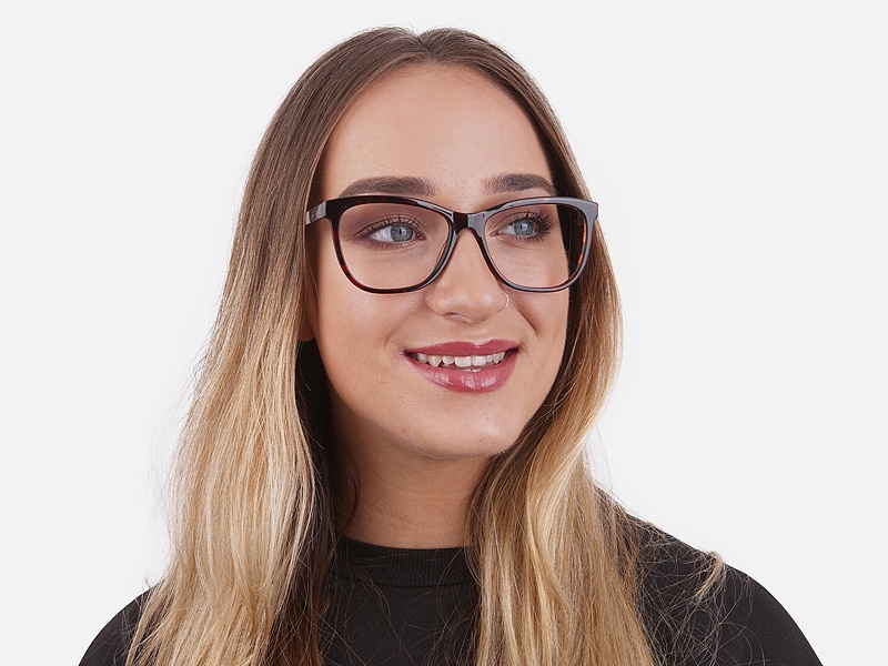 Tortoiseshell & Havana Oversized Glasses 